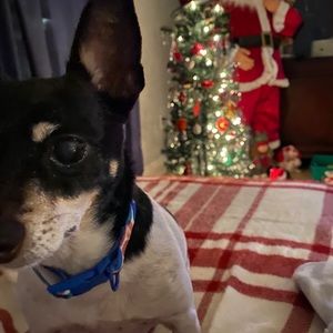 Meet your Posher, Molly